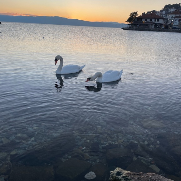 Live Listing Hit the ❤️ To get notifications🌟 - Picture 8 of 10